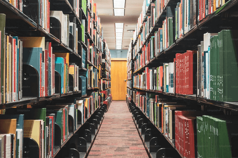 Photo of bookshelves in a library